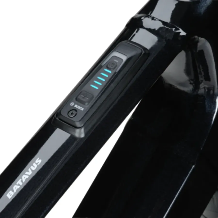 Vélo électrique Batavus Razer E-Go Exclusive – Image 2