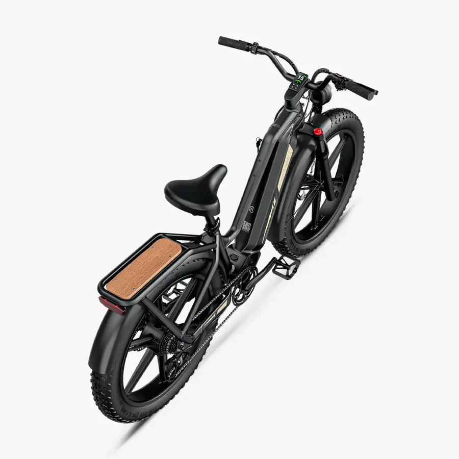 Fiido Titan Fat Tire Touring Vélo électrique – Image 4