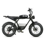 Vélo électrique SAMEBIKE M20 1000W