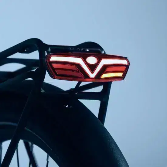 Vélo électrique Tenways CGO800S – Image 4