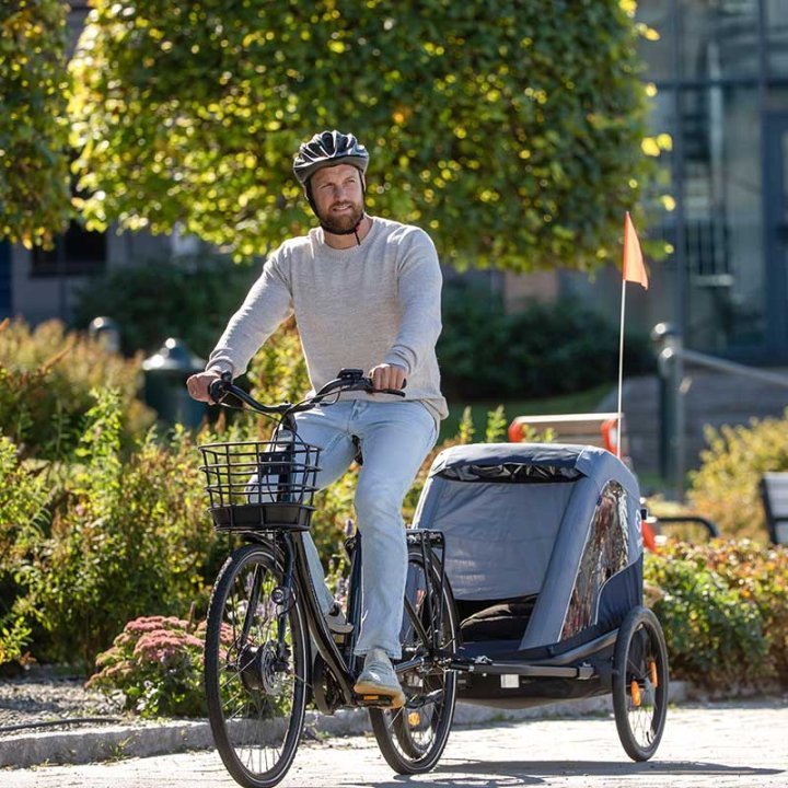 Remorque enfant velo Hamax pour 2 Enfants - Avenida - vert olive – Image 2